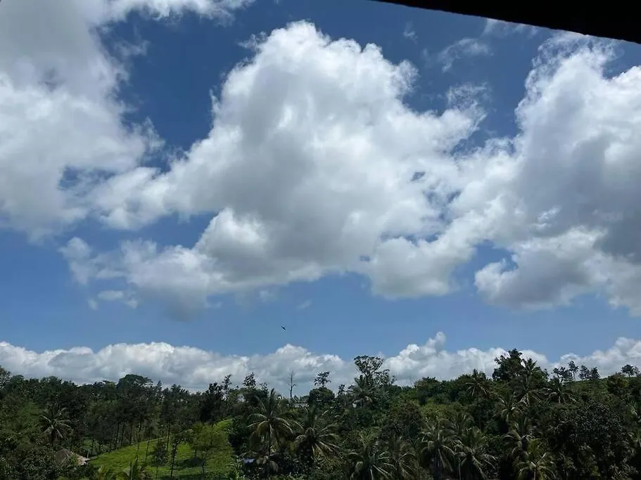 Sansree'S Hill View Apartment 卡尔佩特塔 0*,  印度