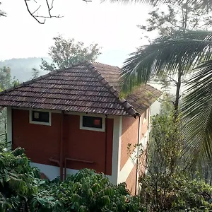 Olive Mountain Hill View Kalpetta